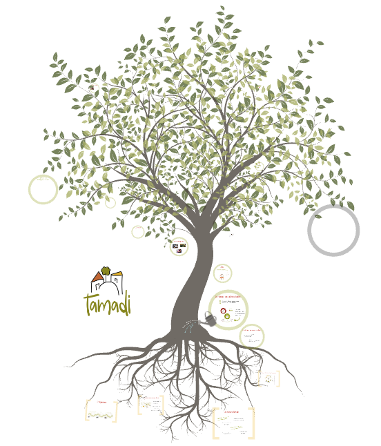 Tamadi presentation Prezi arbre et racines feuilles