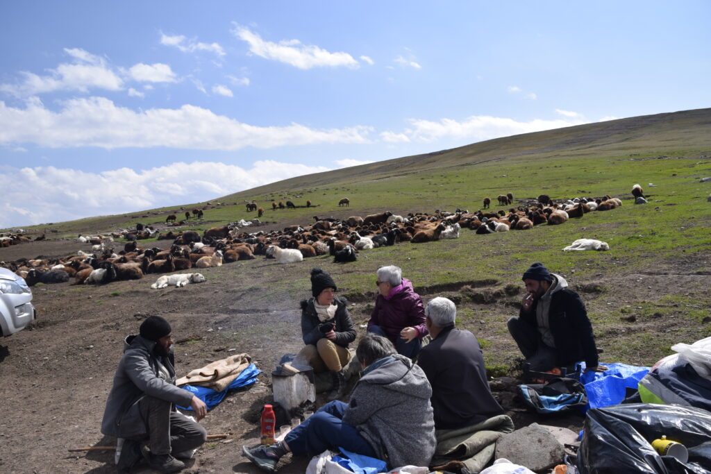 Turquie Bogatepe haut plateau anatolien petit caucase paturages