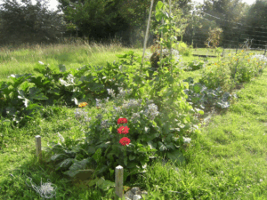 Jardin Nature et Progrès