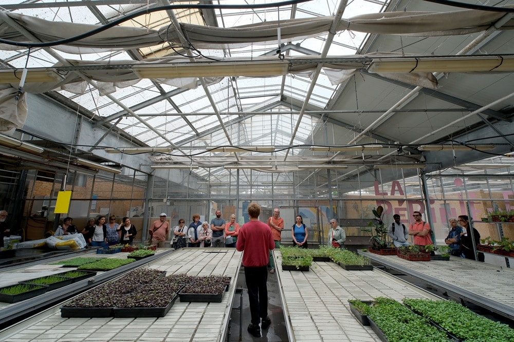 Visite de la serre de l'Agronaute ferme urbaine